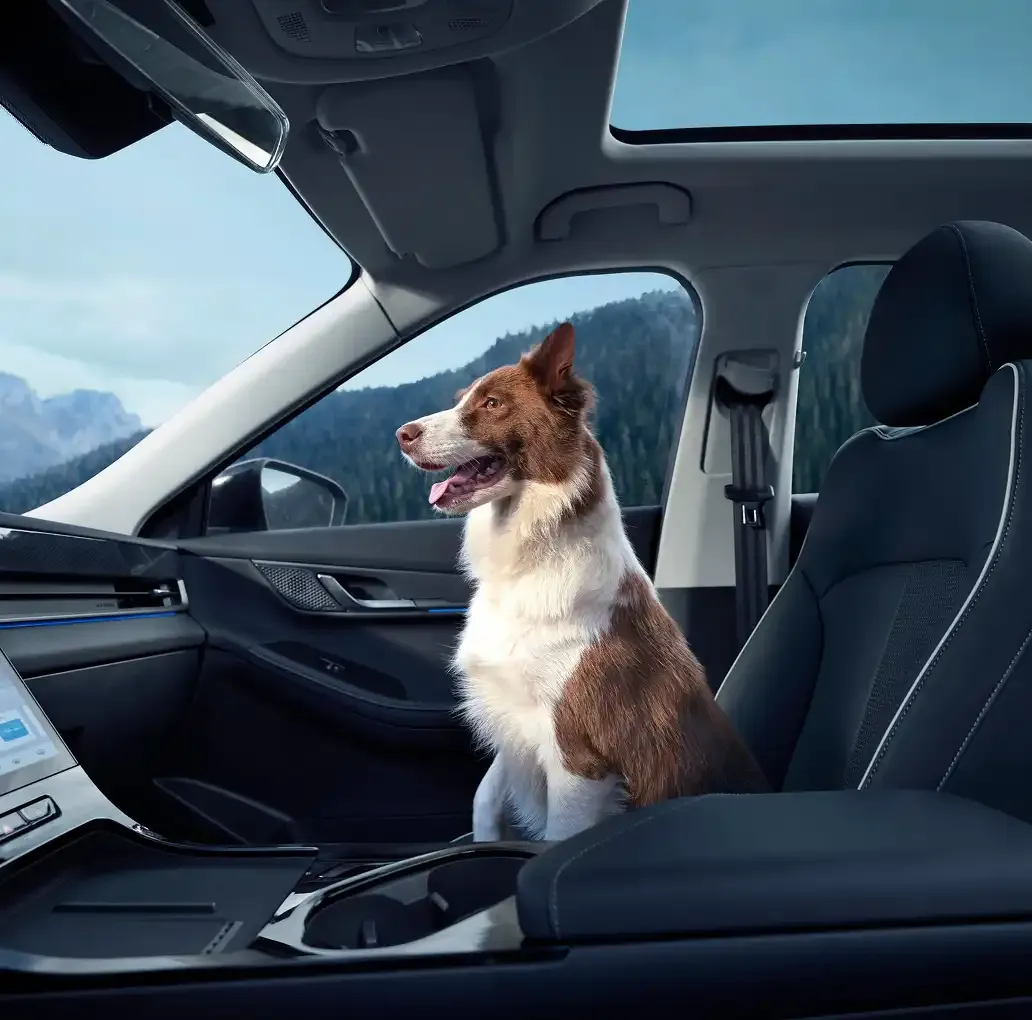 Adventure starts here