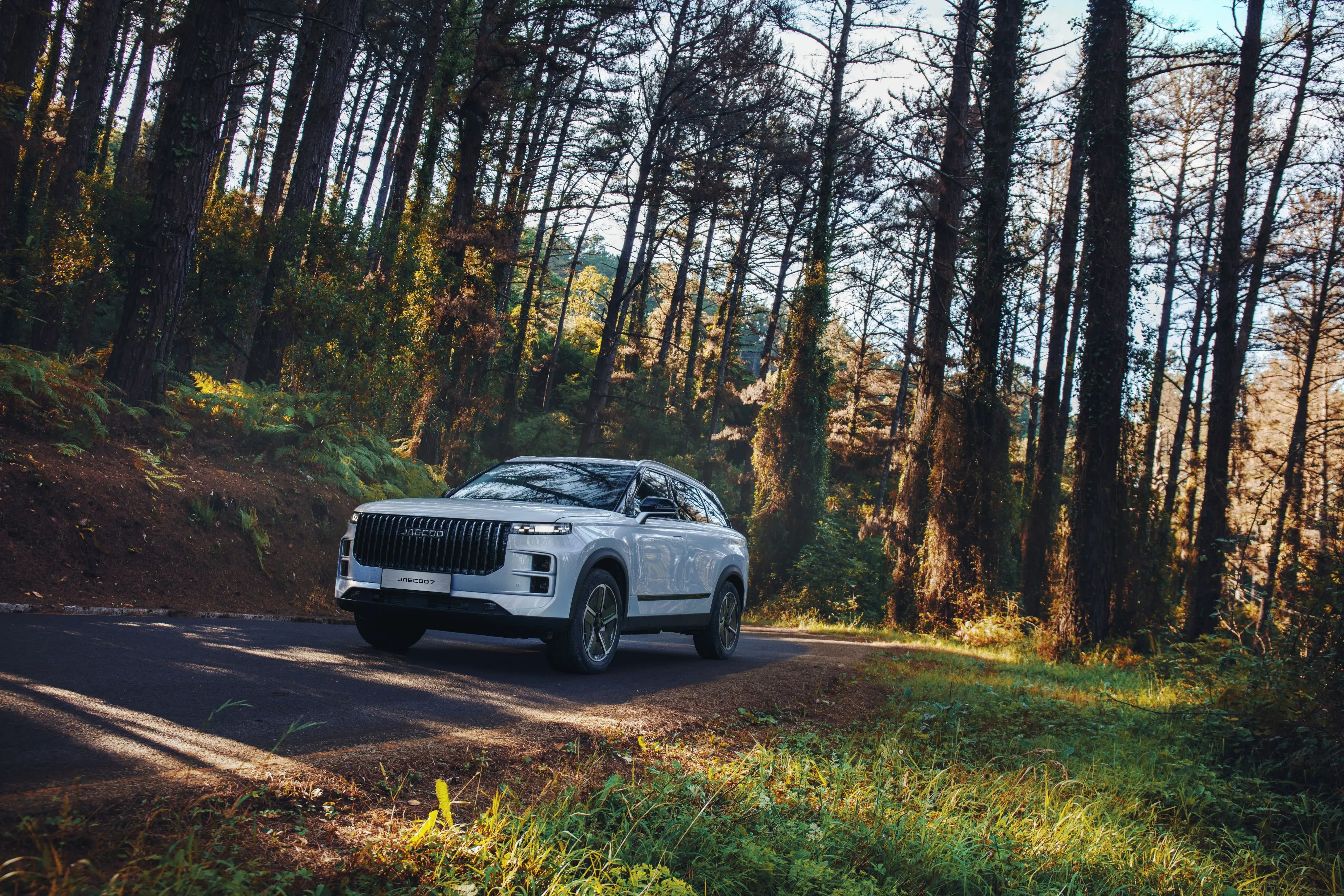 HeroSection background