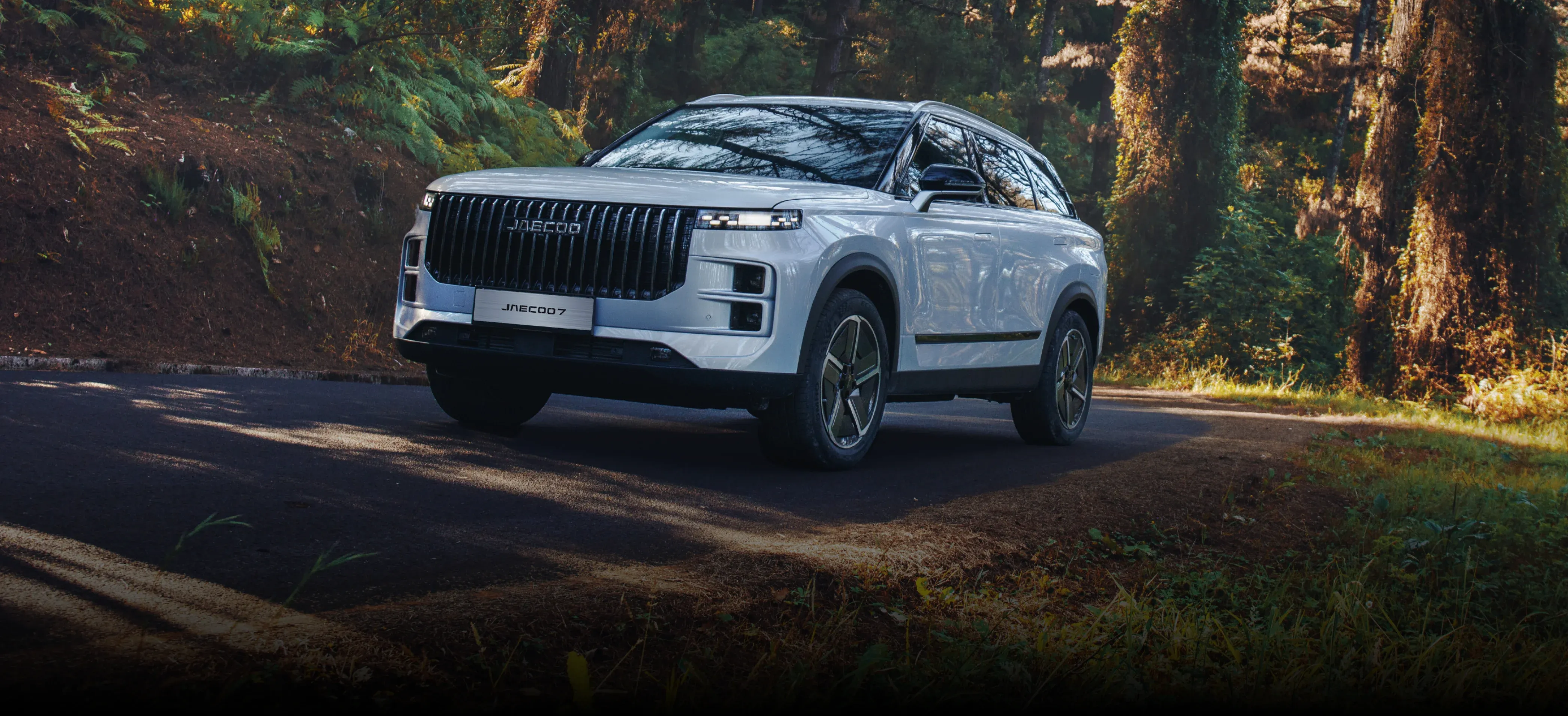 HeroSection background